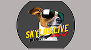 Skylos live radio